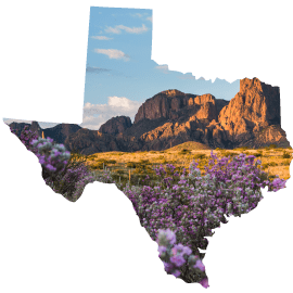 Texas map